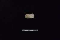 藏品(陶把)的圖片